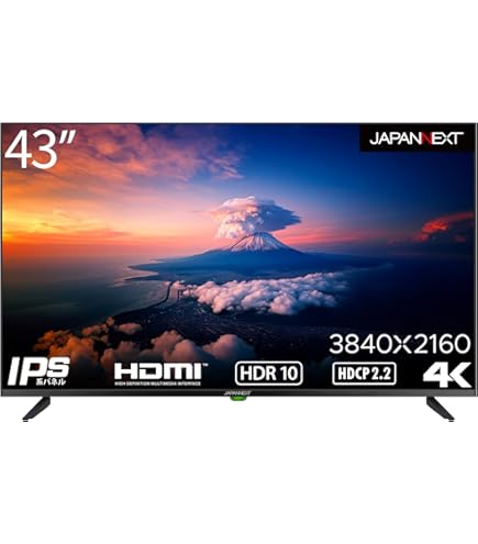 美品 アイオーデータ43型4K液晶モニター広視野角ブルーライト減 LCD