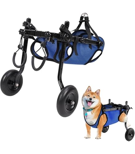 Amazon.co.jp: 犬 車椅子 歩行器 4輪犬用車椅子、 フルサポート調整