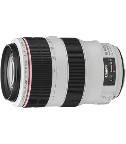 Amazon.co.jp: Canon EFレンズ EF500mm F4.0L IS USM 単焦点レンズ 超