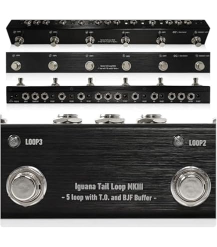 Amazon | CAJ プログラマブルエフェクトループ スイッチャー Loop and
