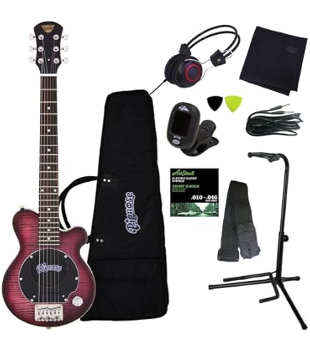 E209】Pignose ピグノーズ USA エレキギター ケース付き E209】Pignose