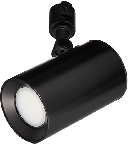 Amazon.co.jp: パナソニック(Panasonic) スポットライト LSEB6113KLE1