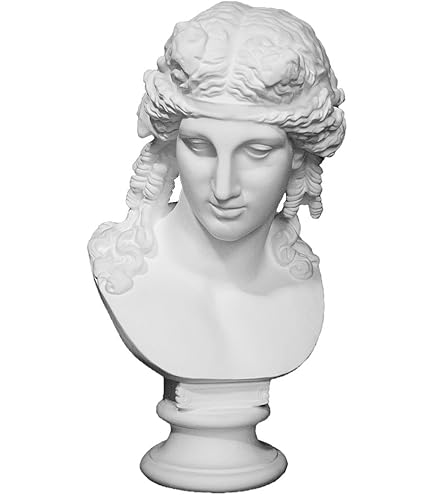 Amazon.co.jp: 石膏像 K－165 青年ブルータス胸像 H．53cm