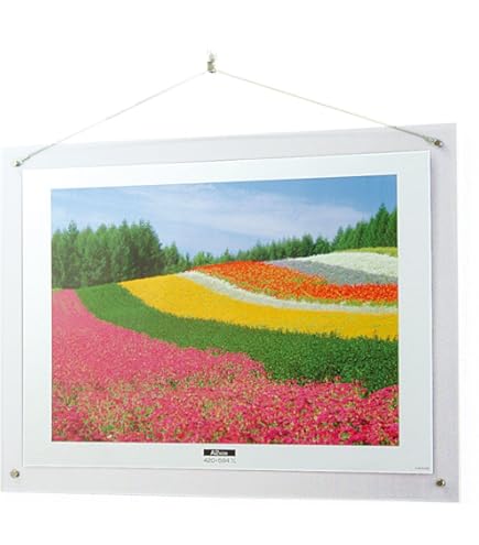 Amazon.co.jp: 無印良品 アクリルピクチャーフレーム 大 7913613