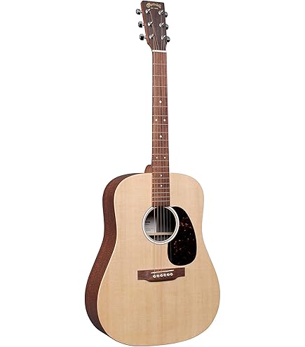Amazon.co.jp: Martin D-X2E 12Str Sit/Mah NAT 12弦エレアコギター