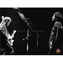 ポルノグラフィティ/20th Anniversary Special Live