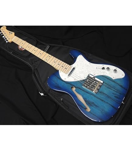 Amazon | FGN FUJIGEN NTE110MMHT TBL フジゲン Neo Classic SERIES