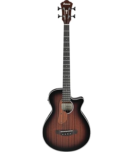 Amazon | Ibanez アイバニーズ エレアコベース パーラー オープン