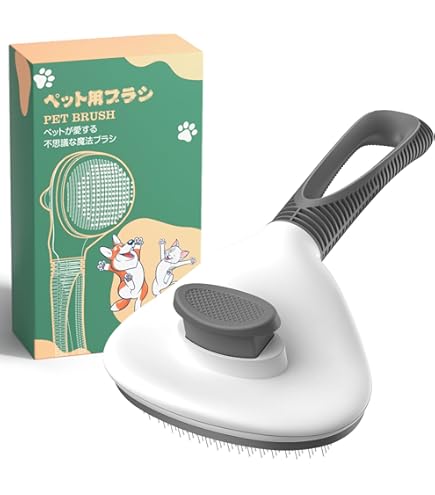 Amazon.co.jp: BIOGANCE 獣毛ブラシ 化粧箱入り 高級ナッツの木使用