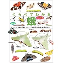 日本の蛾 | 岸田泰則 |本 | 通販 | Amazon