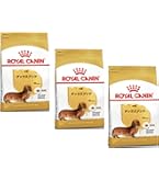 Amazon.co.jp: ロイヤルカナン BHN ダックスフンド 中・高齢犬用 3kg