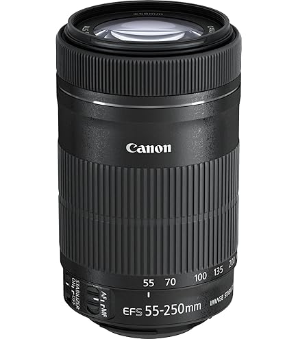 7月30日限定価格【Canon用】TAMRON AF 55-200mm Di Ⅱ 7月30日限定価格