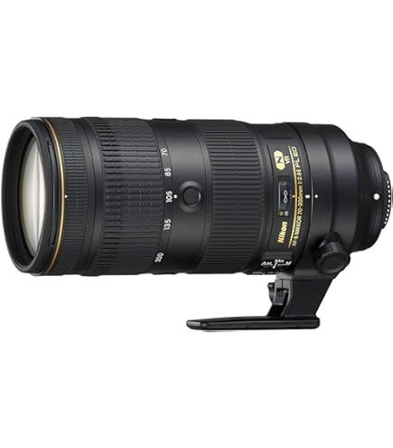 Amazon.co.jp: Tamron SP 70-200mm F/2.8 Di VC USD : 家電＆カメラ
