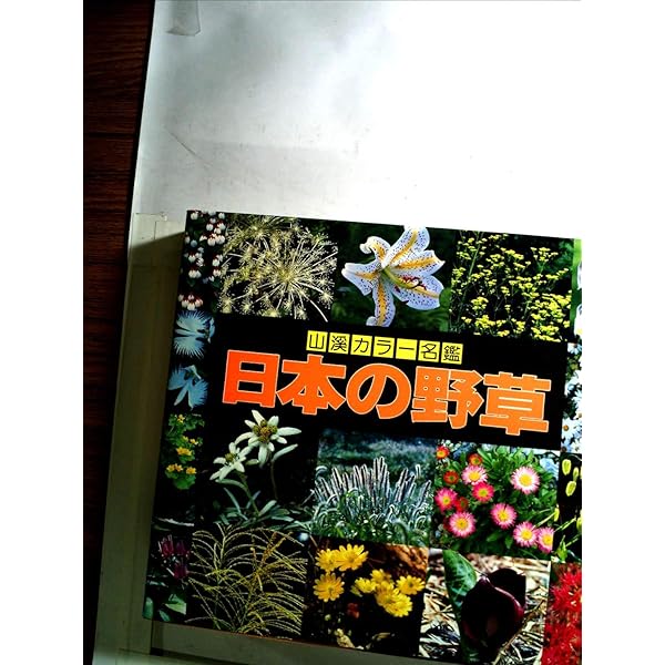 増補改訂新版 日本の樹木 増補改訂フィールドベスト図鑑『日本の樹木