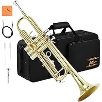 71RgRApR1dL._AC_UL210_SR210,