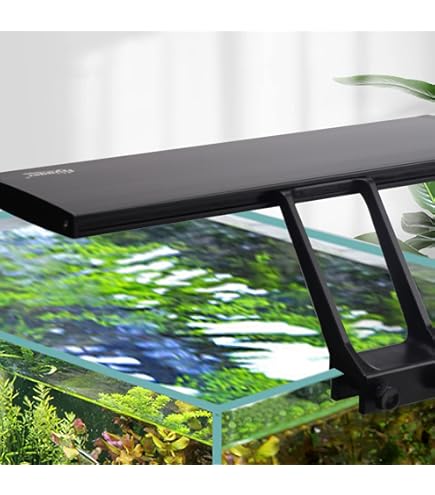 Amazon.co.jp: □アクロ TRIANGLE LED VIVID 1200