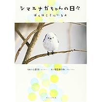 シマエナガちゃんの日々 - ぼくはここにいるよ - (ワニプラス) | 小原