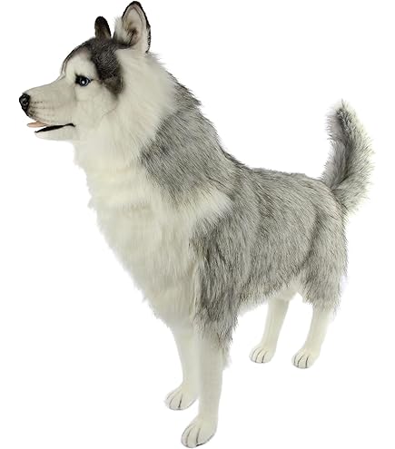 Amazon.co.jp: シンリンオオカミ No.5496 : おもちゃ