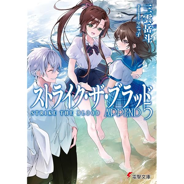 ハイスクールD×D アクマのおしごと ブックカバー NOT FOR SALE ハイ