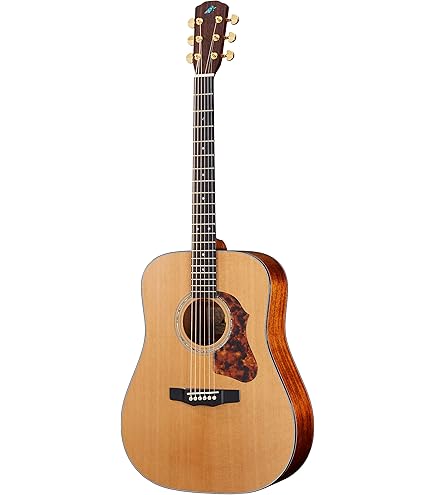 Amazon.co.jp: Morris (モーリス) アコースティックギター M-80II RBS