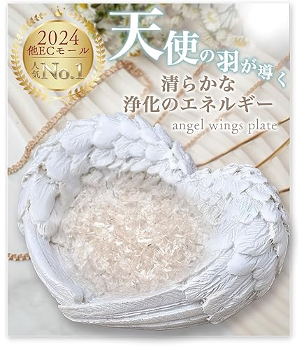 アワビの貝殻 虹色 インテリア 天然装飾品 約22cm×17cm アワビの貝殻