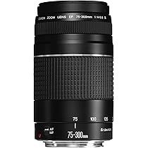 Amazon.co.jp: Canon EFレンズ EF75-300mm F4-5.6 IIIズームレンズ
