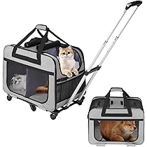 71sVwDwFoUL._AC_UL210_SR210,