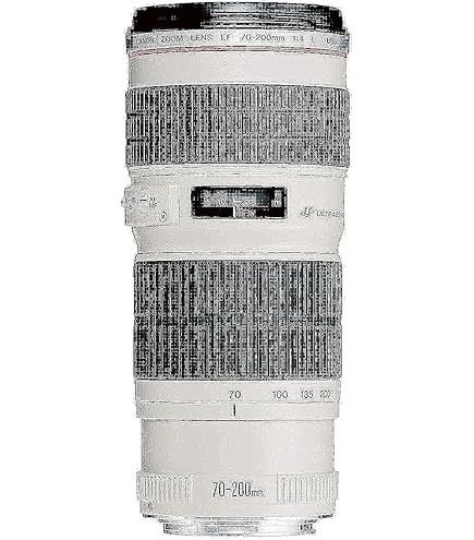 Amazon.co.jp: Canon EFレンズ EF500mm F4.0L IS USM 単焦点レンズ 超