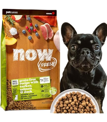 Amazon | セレクトバランス エイジングケア ラム 小粒 7才以上の成犬用