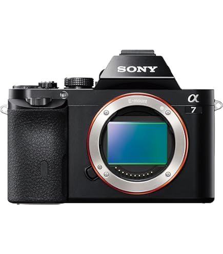Amazon | ソニー SONY ミラーレス一眼 α7 ズームレンズキット FE 28
