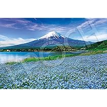 ジグソーパズル 1000ピース ボラボラ島 Ravensburger Ravensburger