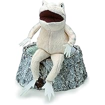 81gww9f97+L._AC_UL210_SR210,