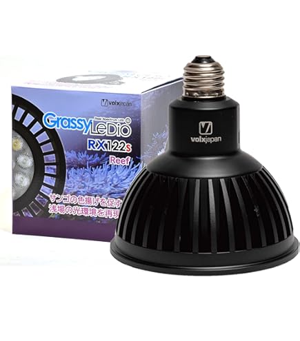 ボルクスジャパン グラッシーレディオRS122（フレッシュW）&レディオ