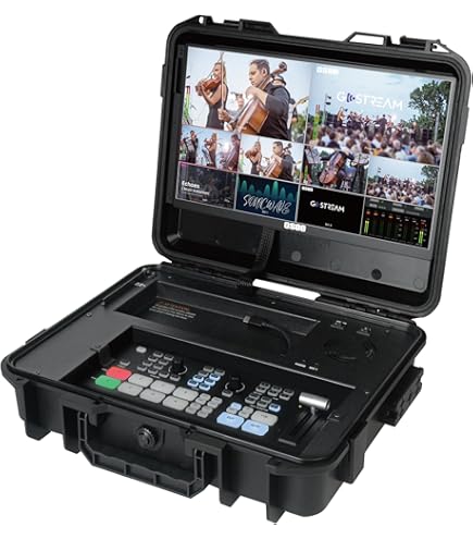 Blackmagic小型モニターUltraStudio Mini Monitor 【公式通販】