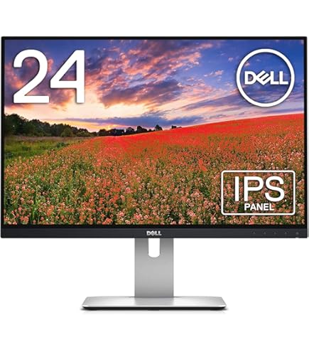 即日受渡❣️2年前購入DELL24型ワイド液晶モニター ブルーライト軽減