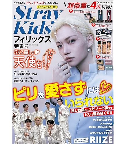 straykids スキズ まとめ売り 写真集 フォトブック Stray Kids