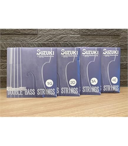 Amazon | ウッドベース弦 コントラバス弦 パッシオーネ（パッショーネ