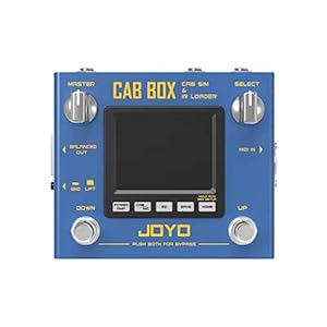 AMT Electronics CHAMELEON CAB CN-1【Supernice!エフェクター】