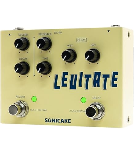 Amazon.com: One Control Sea Turquoise Delay Effects Pedal