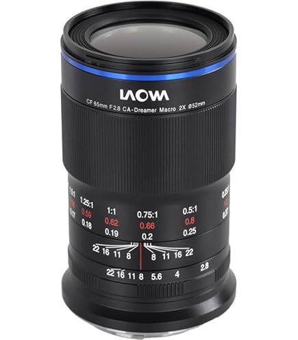 Amazon.com : Venus Optics Laowa 65mm f/2.8 2X Ultra Macro APO Lens