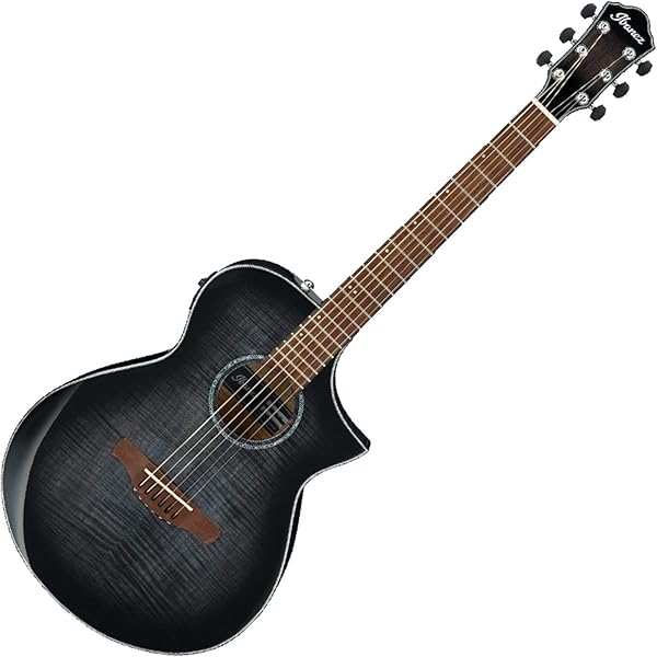 Ibanez AEL20E / AEL40SEジャンク ケース付 2025年最新】IBANEZ AELの