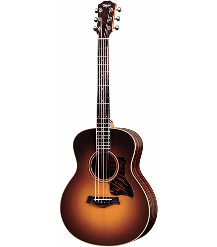 Amazon.com: Taylor GS Mini-e Rosewood Plus Acoustic-electric
