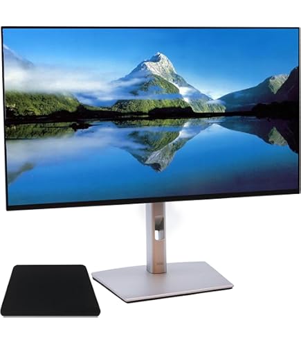 Amazon.com: Dell 24 Monitor - P2422HE - Full HD 1080p, IPS