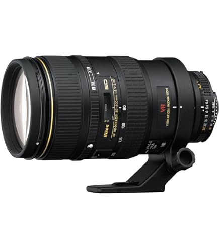 Amazon.com : Nikon AF-S FX NIKKOR F/4D IF-ED 300mm Fixed Zoom Lens