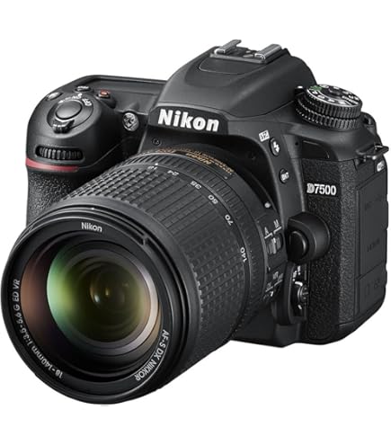 Amazon.com : Nikon D3200 24.2 MP CMOS Digital SLR with 18-55mm f