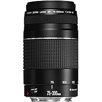 Canon EF 75-300mm f/4-5.6 III Telephoto Zoom Lens for Canon SLR