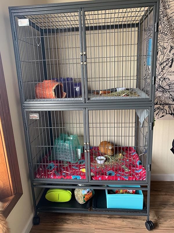 Ferret Nation® Small Animal Habitat | MidWest Homes for Pets