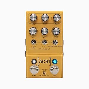 ギター AMT Electronics CN-1 CHAMELEON CAB AMT Chameleon CAB CN-1