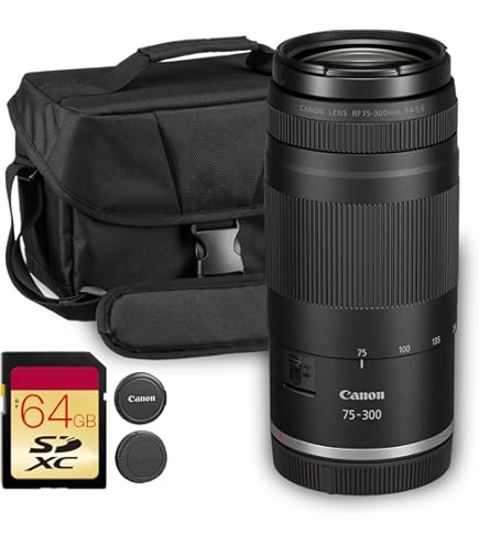 Amazon.com : TAMRON SP 70-300mm F/4-5.6 Di VC USD (Model A030