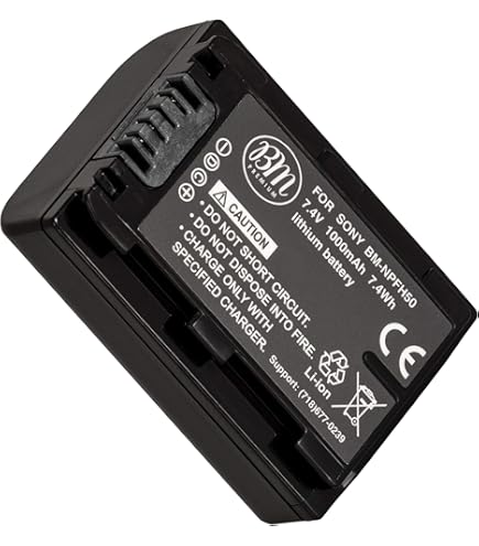 Amazon.com : BM Premium NP-FV50 Battery for Sony DCR-SX45 DCR-SX65
